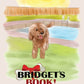 Bridget's Book
